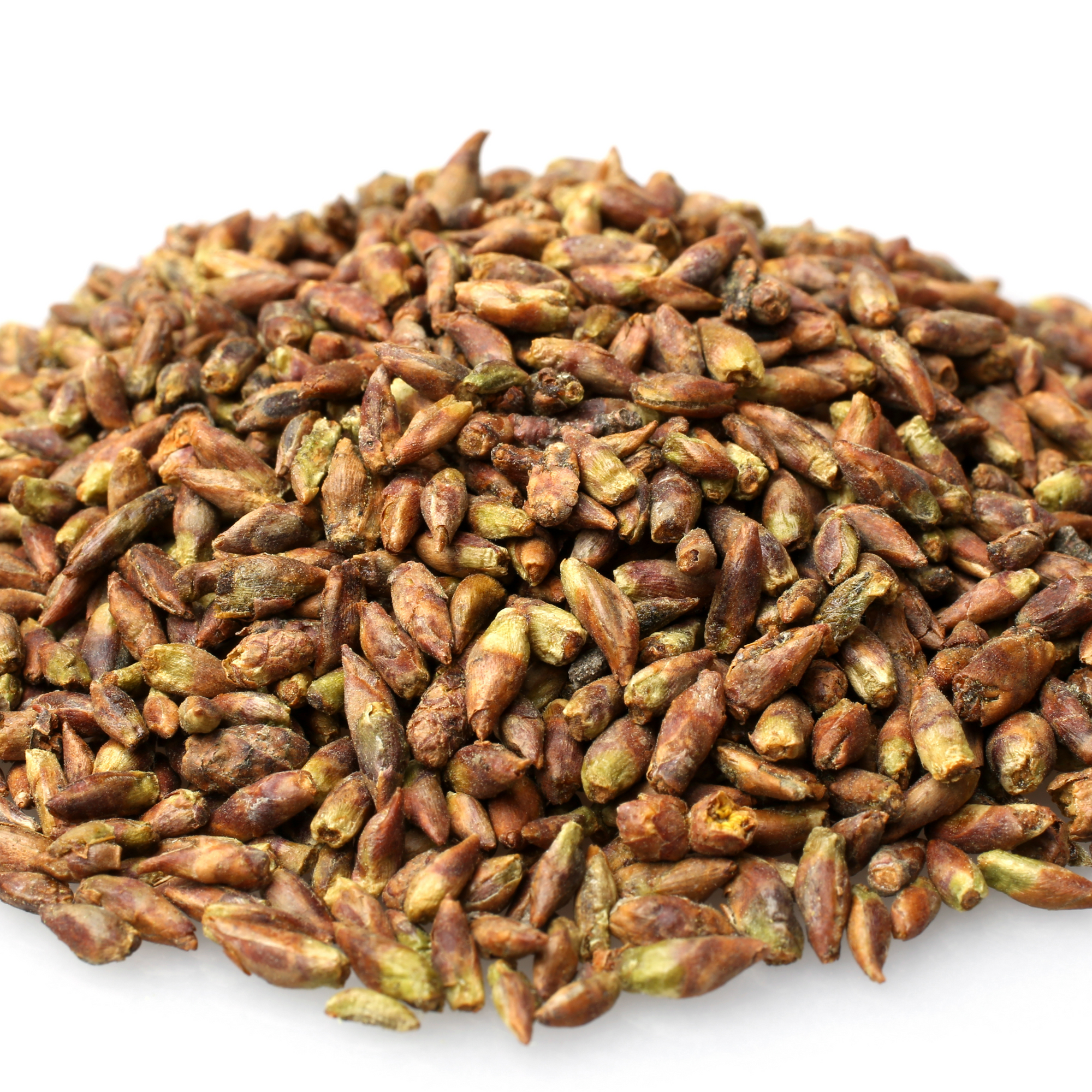 An overflowing pile of dried cottonwood buds ready to become a sumptuous oil