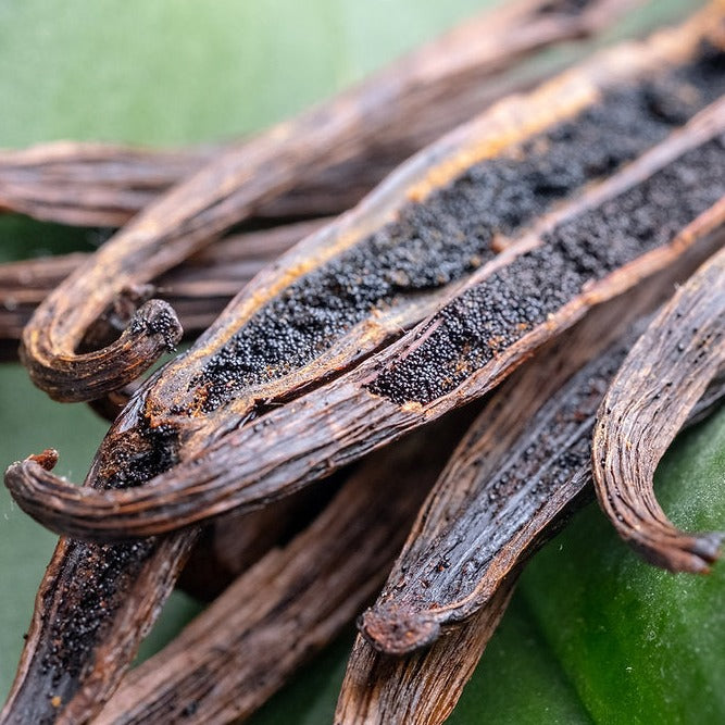 Sustainable Vanilla in Call of Heart Body Oil by Rogue Start Beauty