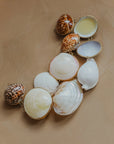 Seashell Lip Balm – Passion Fruit & Yuzu