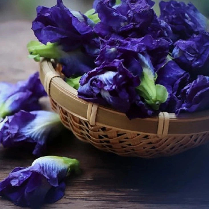 Stimulating Scalp Serum with Wild Foraged Horsetail & Nettle