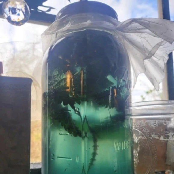 Stimulating Scalp Serum with Wild Foraged Horsetail & Nettle