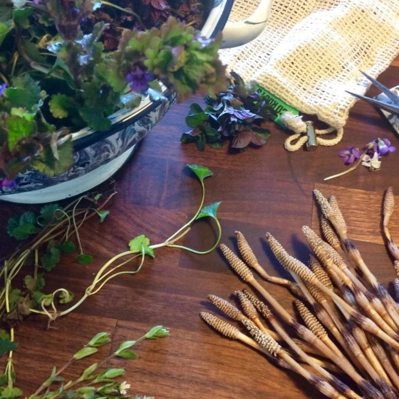 Stimulating Scalp Serum with Wild Foraged Horsetail & Nettle