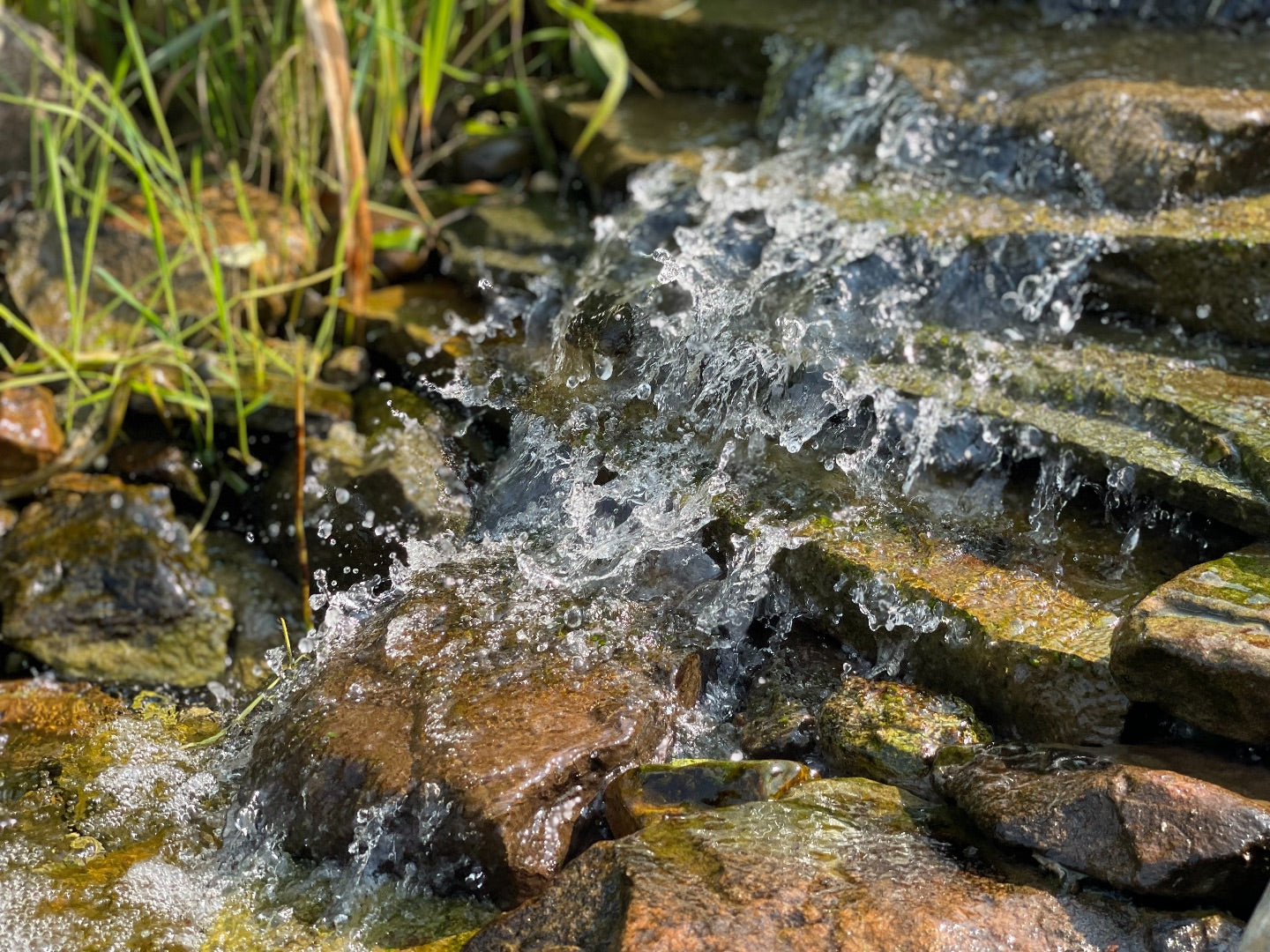 Natural spring water flowing in the outdoors. Natural spring water is good for better health.