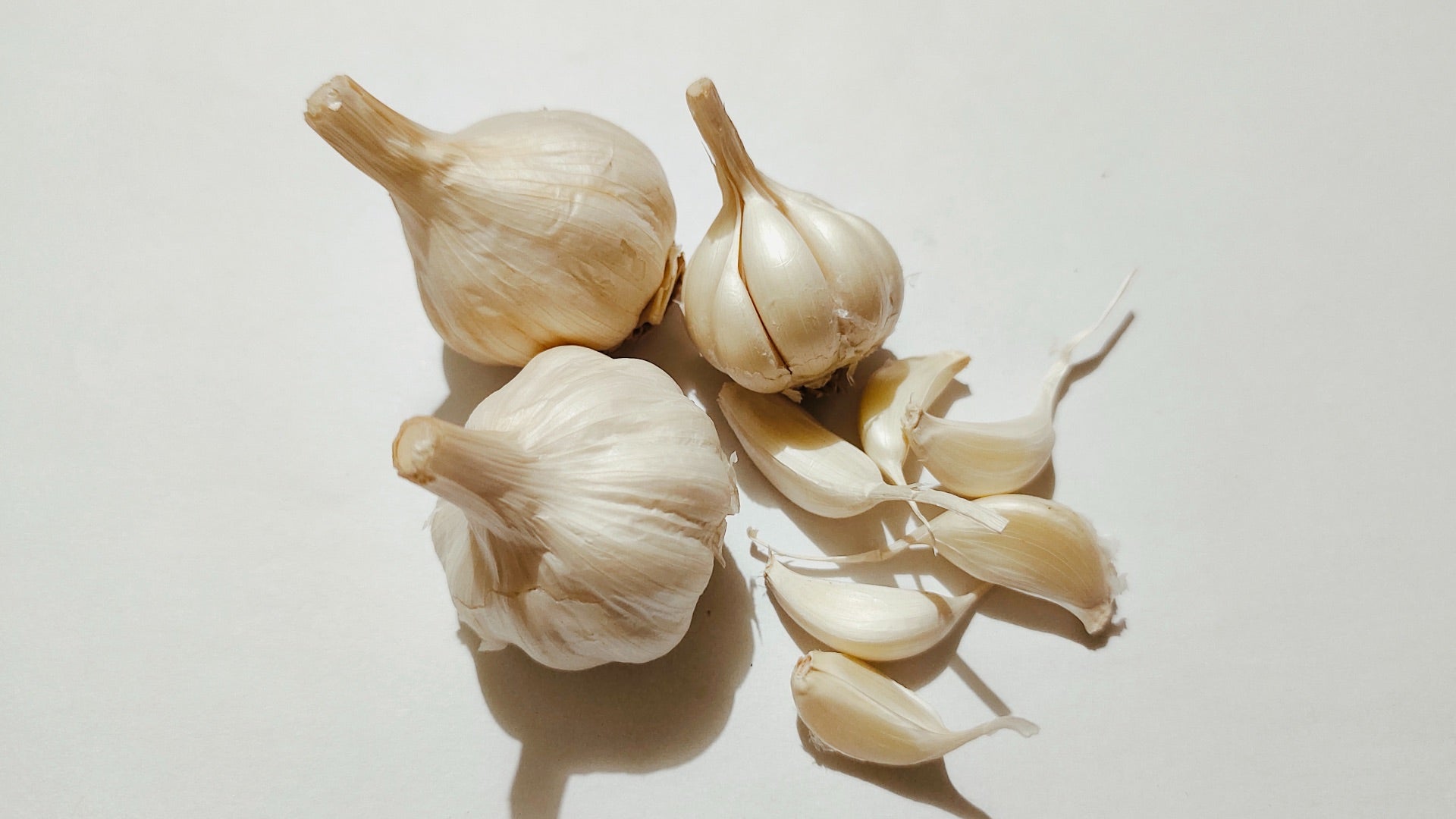 Garlic on a white background. Garlic is a natural antibiotic.