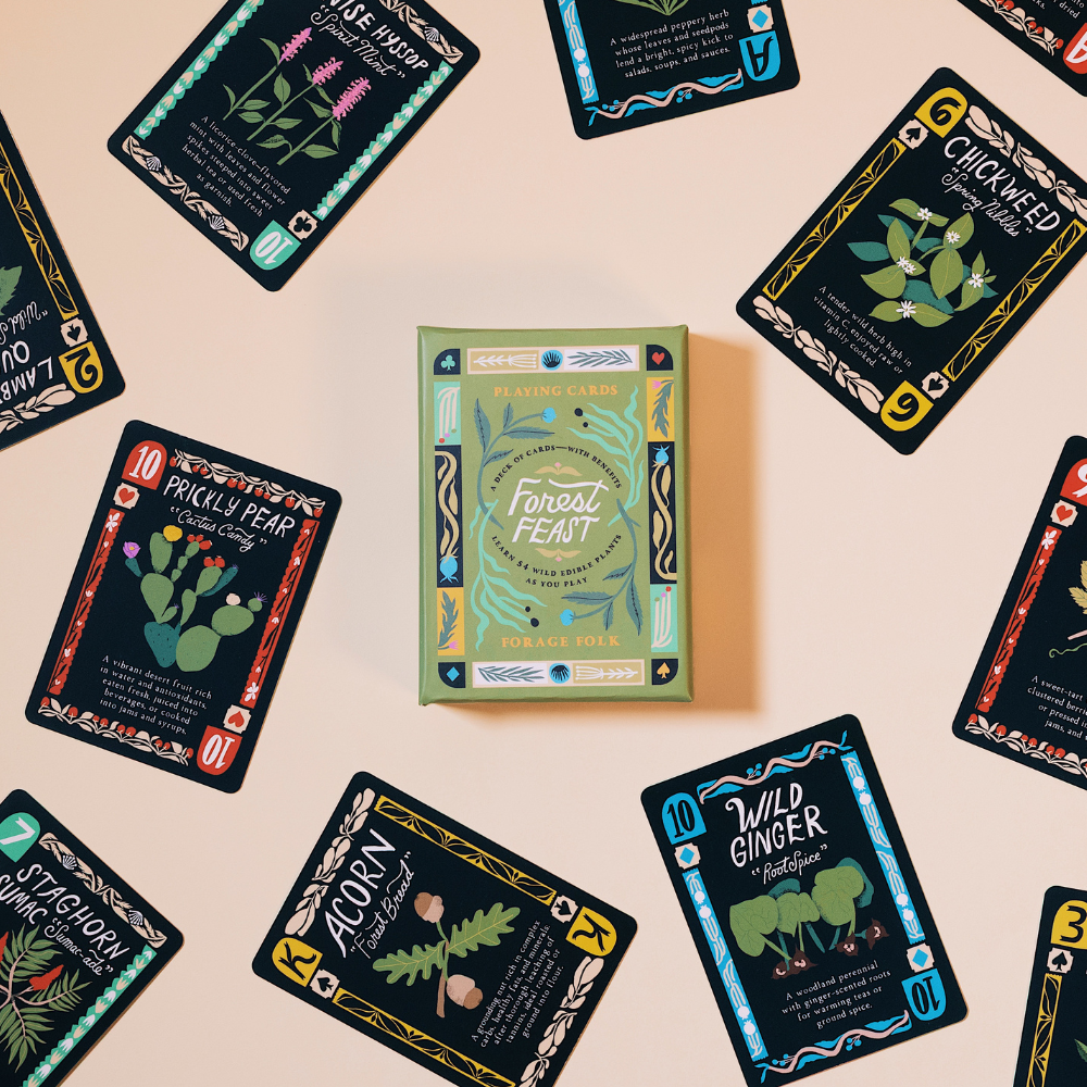 Forest Feast family card game with foraging information