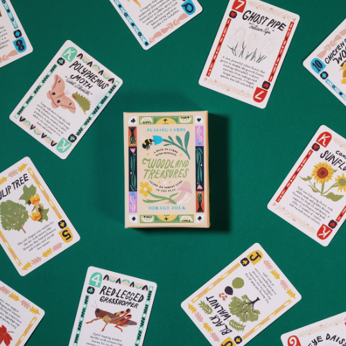Woodland Treasures family card game with forest information