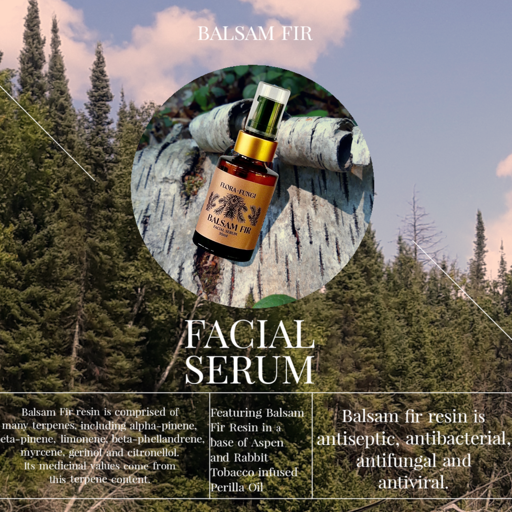 Balsam Fir Serum with Usnea Lichen facial serum from Forage Folk