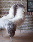 Dutch Texel Large Sheepskin Rug in Dark Brown