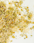 Chamomile Tea -  Organic Farm Grown in Pennsylvania