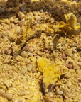 Wild Forsythia Cleansing Grains