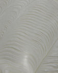 Whipped Tallow Video