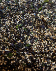 Seaweed Sprinkle with Sesame Seeds