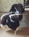 Dutch Texel Large Sheepskin Rug in Brown and White