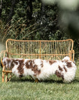 Dutch Texel Large Sheepskin Rug in Brown and White